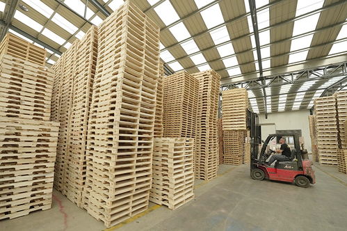 河北唐山 鄉村工廠 拓寬村民致富路